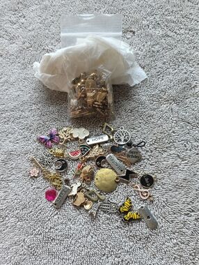Small Bag Mixed Metal Charm Bracelet Assortment - Gold and Multicolor Charms